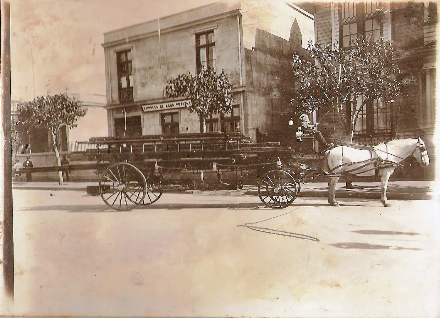 Caballo Palomo, Segunda Compañía
