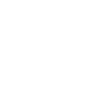 Icono CARABINEROS