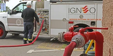 Igneo Servicios