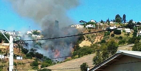 Siete compañías trabajaron en incendio declarado en Reñaca Alto